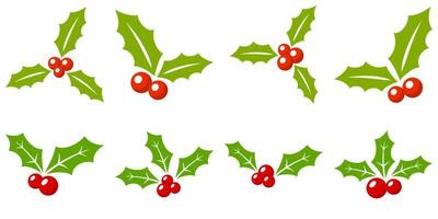 Set of holly berries in flat style isolated vector