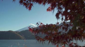 colorato autunno nel montare fuji, Giappone - lago Kawaguchiko video