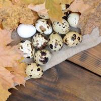 Quail eggs with autumn leaves on sacking on a dark brown wooden surface, top view, empty place for text, recipe photo