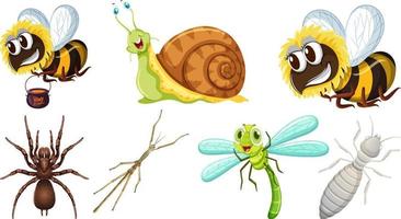 Collection of different insects vector