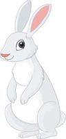 White rabbit cartoon character vector