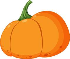 Isolated pumpkin in cartoon style vector