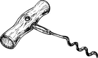 Hand drawn corkscrew illustration in sketch style vector