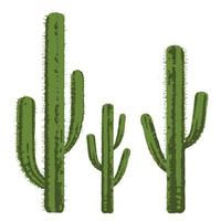 cactus árbol desierto planta vector diseño