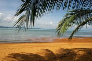 Coconut trees and sea, beautiful natural scenery photo