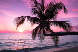 Beautiful sunset tropical beach with palm tree and blue sky for travel and vacation in holiday relax time photo