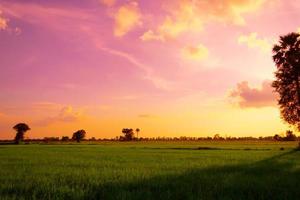 The sky and clouds of the green fields. photo