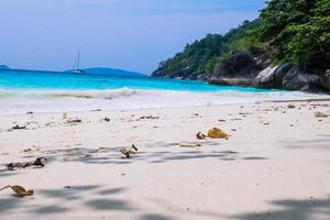 Beautiful tropical beach with tree and blue sky for travel in holiday relax time photo