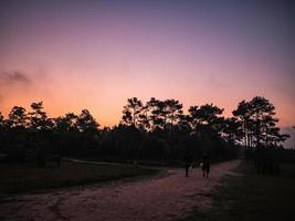 Unacquainted tourist walking on nature trail on Phu Kradueng mountain national park in the Early morning at Loei City Thailand.Phu Kradueng national park the famous Travel destination photo