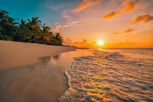 Beautiful panoramic sunset tropical paradise beach. Tranquil summer vacation or holiday landscape. Tropical sunset beach seaside palm calm sea panorama exotic nature view inspirational seascape scenic photo