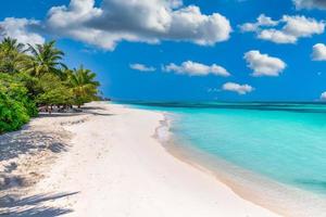 Maldives tropical beach background summer relax landscape, white sand calm sea with palm trees, panoramic island. Amazing beach paradise vacation and summer holiday seascape. Luxury travel destination photo