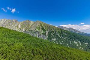 Summer Tatra Mountains, Slovakia. Panoramic summer view of High Tatra Mountains, valley, green pass with green meadows and spruce forest in the foreground, cloudy sky. Freedom travel adventure view photo