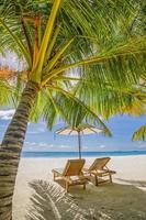 Beach beds chairs under umbrella and palm tree. Closeup white sand sea vertical beach nature. Amazing idyllic beach vacation summer holiday. Luxury couple romance travel, tranquil, sunny relaxation photo