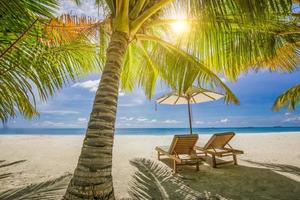 Tropical beach nature as summer landscape with lounge chairs beds palm tree leaves and calm sea for beach banner. Luxury travel landscape, beautiful destination for vacation or holiday. Beach scene photo