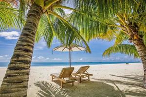 Tropical beach nature as summer landscape with lounge chairs beds palm tree leaves and calm sea for beach banner. Luxury travel landscape, beautiful destination for vacation or holiday. Beach scene