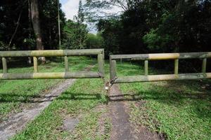 Locked black yellow barrier fence, the concept of not entering the forest area without permission photo