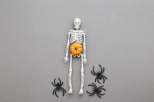 skeleton with pumpkin and black spiders on a grey background. halloween concept photo