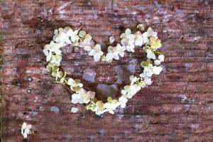 Heart symbol made of white hydrangea flower petals on old shabby wooden planks background with cracked color paint photo