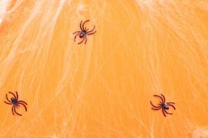 spider web and black spiders on orange background. photo