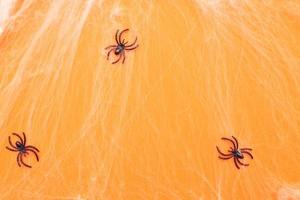 spider web and black spiders on orange background. photo