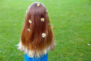 Healthy red hair on a green grass background with chamomile flowers photo