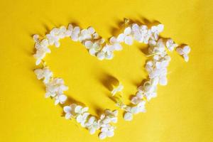 Heart symbol made of white hydrangea flower petals on a yellow background photo