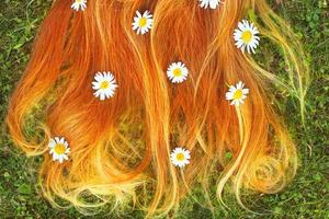 Healthy red hair on a green grass background with chamomile flowers photo