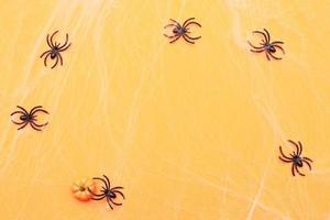 Halloween pumpkin with spider web and black spiders on orange background. photo