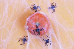 calabaza de Halloween con tela de araña y arañas negras sobre fondo naranja. foto