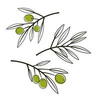Set of olive branches in a modern lineart style isolated on white background. Vector illustration