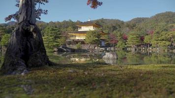 bunter herbst mit goldenem pavillon des kinkakuji-tempels in kyoto, japan.