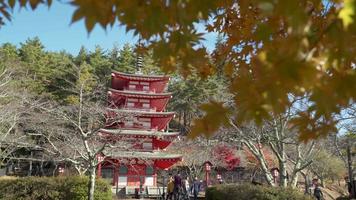 2019-11-18 Japão. Vídeo 4k uhd do pagode chureito em fujiyoshida, yamanashi, japão.
