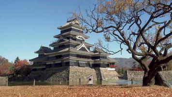 Castelo de matsumoto no outono na cidade de matsumoto, nagano, japão. video