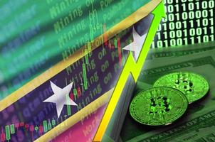 Saint Kitts and Nevis flag and cryptocurrency growing trend with two bitcoins on dollar bills and binary code display photo