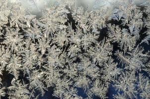 Snowflakes frost rime macro on window glass pane photo