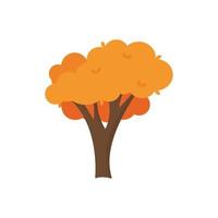 Colorful autumn trees. Cartoon yellow orange fall tree and autumnal garden bush icon with fall season gold leaves for city park and forest landscape background vector isolated symbol