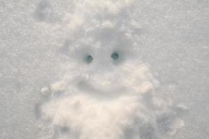 linda carita sonriente que parece santa claus con barba dibujada en la nieve en un día de invierno. símbolo de navidad y año nuevo. foto