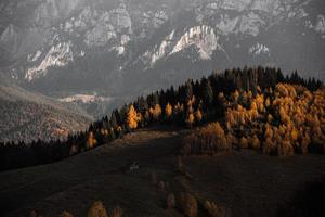 un encantador paisaje montañoso en las montañas bucegi, cárpatos, rumania. naturaleza otoñal en moeciu de sus, transilvania foto