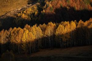 A charming mountain landscape in the Bucegi mountains, Carpathians, Romania. Autumn nature in Moeciu de Sus, Transylvania photo