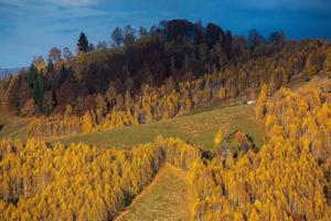 A charming mountain landscape in the Bucegi mountains, Carpathians, Romania. Autumn nature in Moeciu de Sus, Transylvania photo