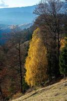 A charming mountain landscape in the Bucegi mountains, Carpathians, Romania. Autumn nature in Moeciu de Sus, Transylvania photo