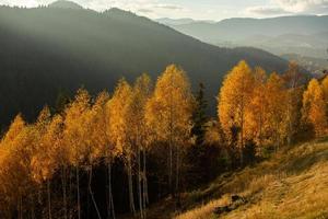 A charming mountain landscape in the Bucegi mountains, Carpathians, Romania. Autumn nature in Moeciu de Sus, Transylvania photo