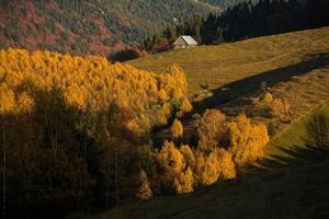 A charming mountain landscape in the Bucegi mountains, Carpathians, Romania. Autumn nature in Moeciu de Sus, Transylvania photo