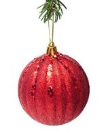 big red christmas ball is hanging on christmas tree isolated on white background