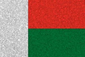 Flag of Madagascar on styrofoam texture photo