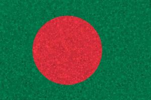 Flag of Bangladesh on styrofoam texture photo