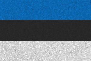 Flag of Estonia on styrofoam texture photo