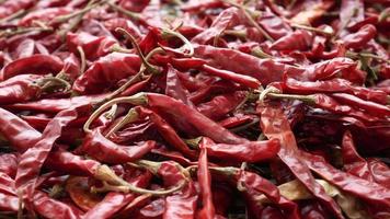 Dried chili peppers close up video