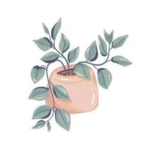 Indoor plant in beige pot. Flat simple vector illustration