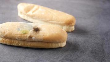 Rotten hot dog buns with mold video